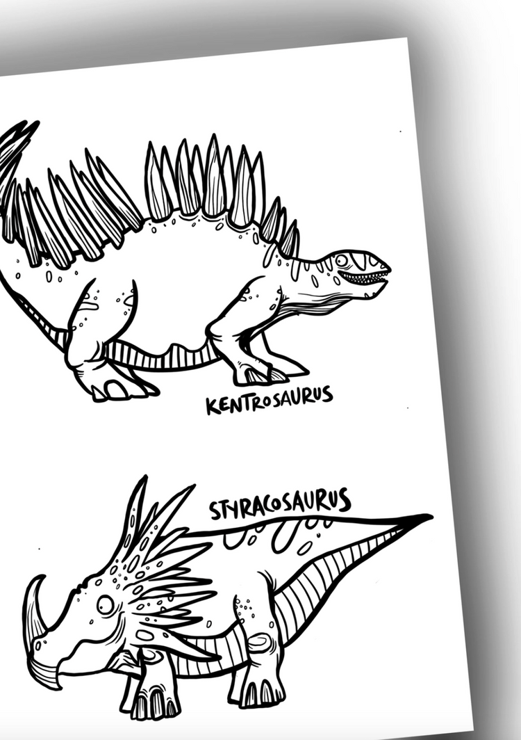 Dinosaurs Colouring Book