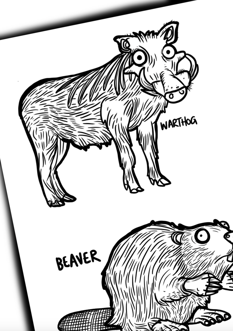 Animals Colouring Book
